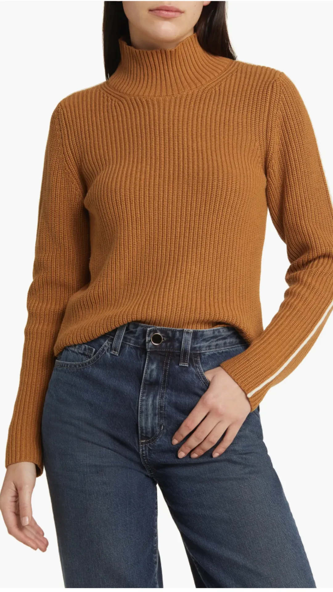 French Connection Mozart Contrast Stripe Turtleneck Sweater in TOBACCO