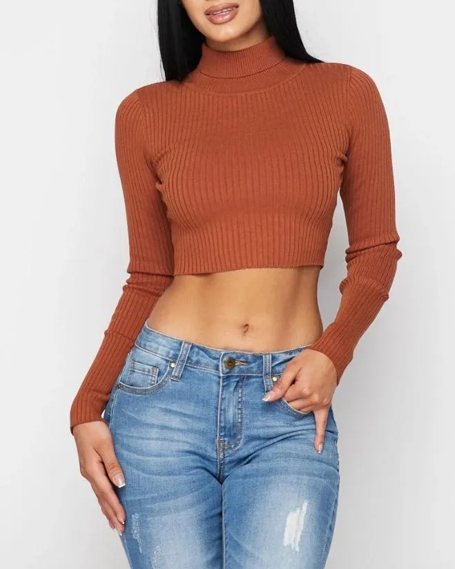 It's A Vibe Turtleneck Crop Top