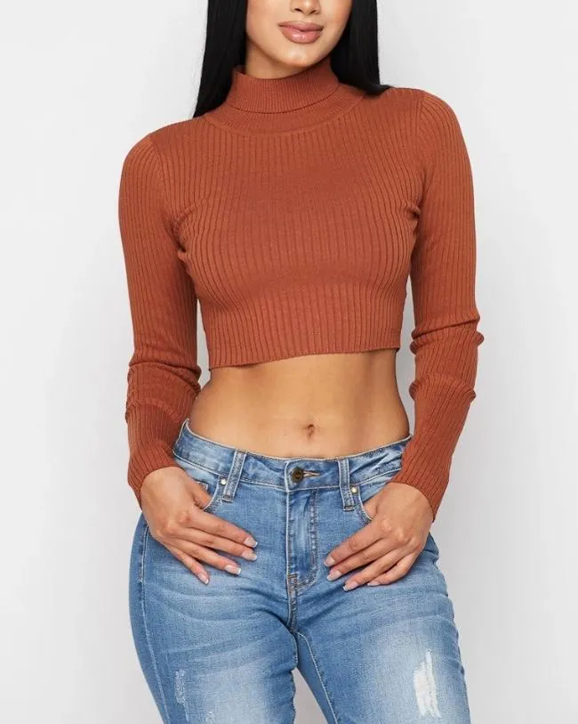 It's A Vibe Turtleneck Crop Top