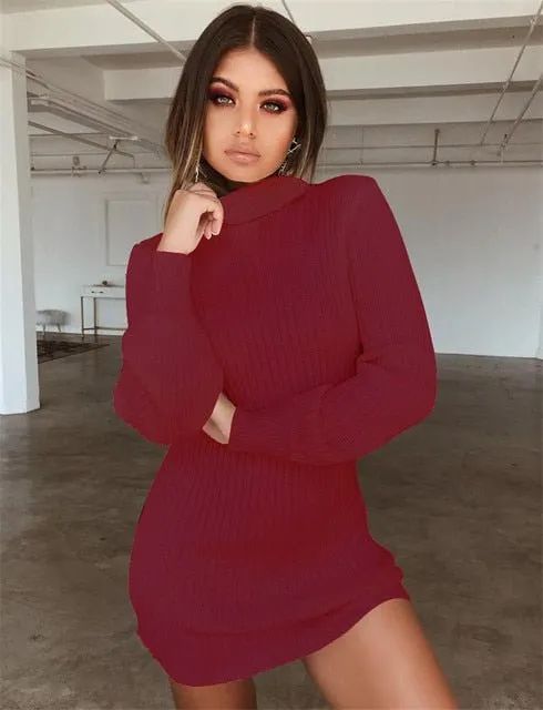 Long Sleeve Dress Solid Pullover Turtleneck Bodycon Dress